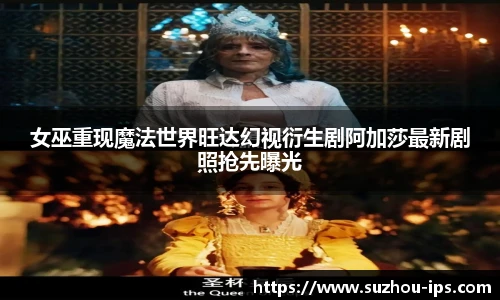 壹号国际官网