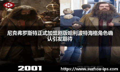 壹号国际官网