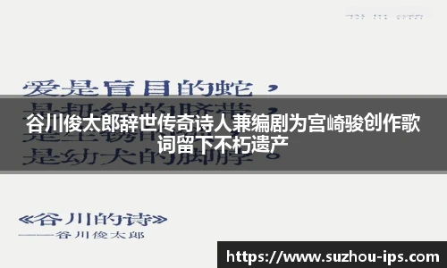 壹号国际